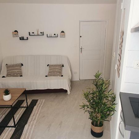 Studio Cosy Au Coeur De Millau Zewnętrze zdjęcie