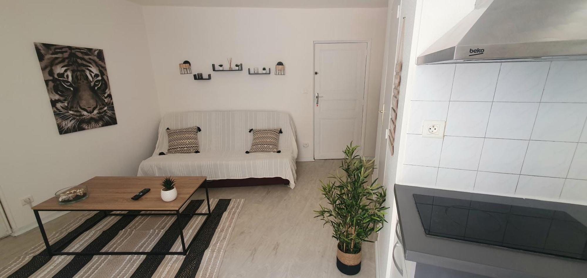 Studio Cosy Au Coeur De Millau Zewnętrze zdjęcie